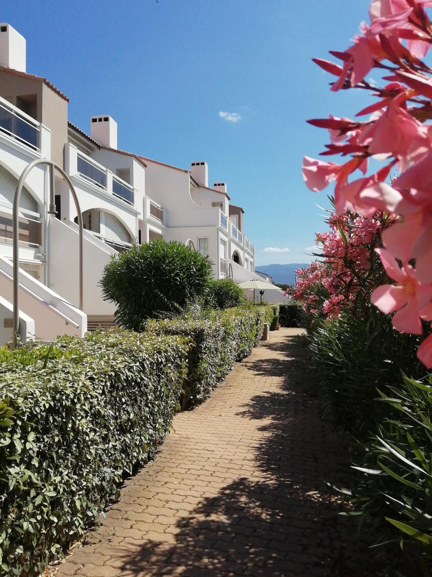 Vue Lagune Et Bateaux A 100M De La Plage Apartment Saint-Cyprien  Exterior photo